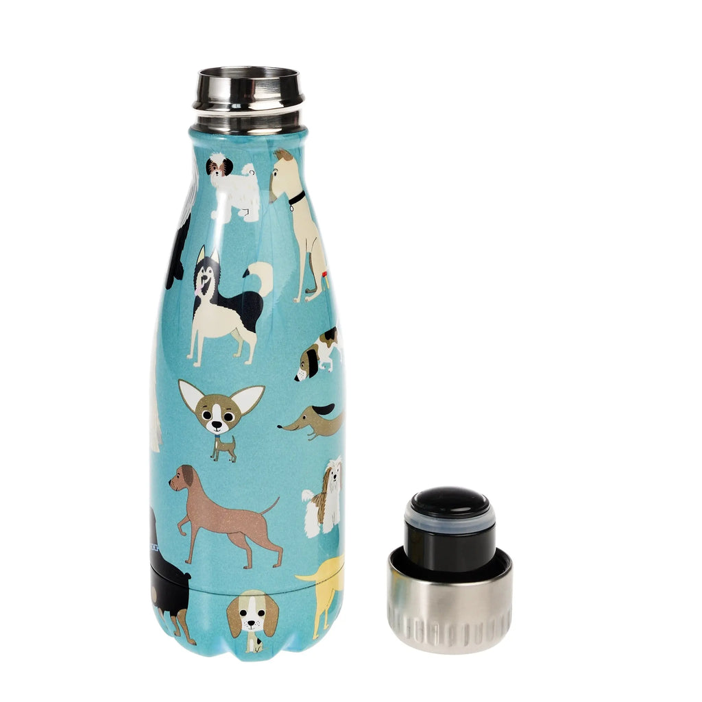 Gourde isotherme 260 ml chiens alrj.fr