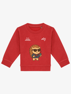 Pull 6/36 mois de prévention des allergies alimentaires - agent secret