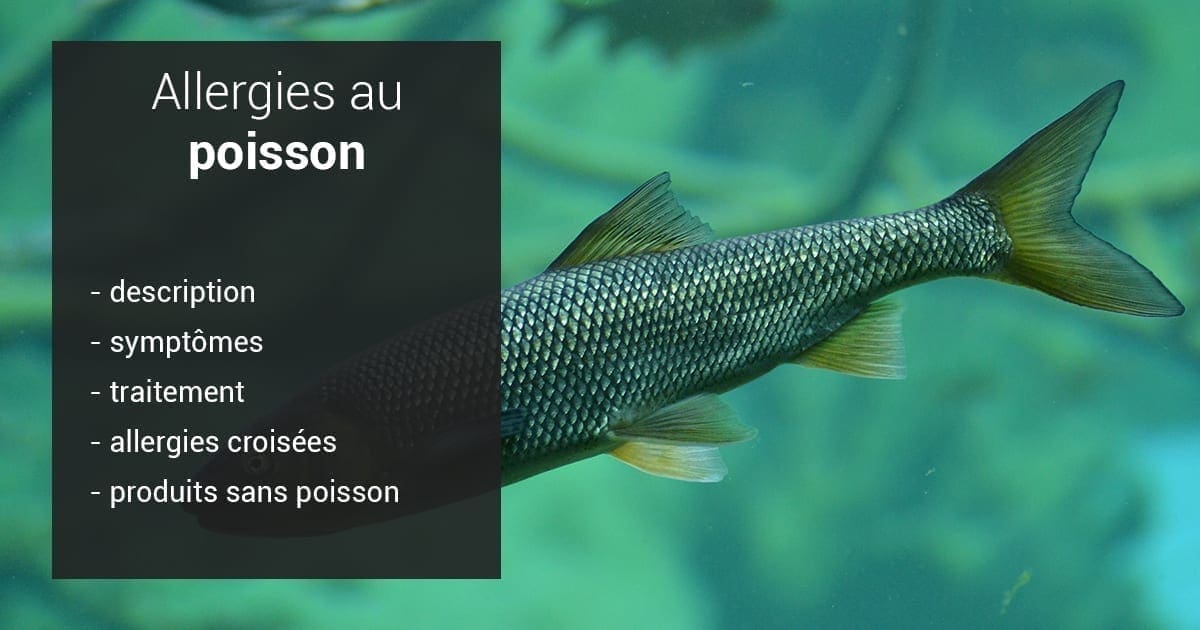 Allergie Au Poisson Allergie Alimentaire Diagnostic Et Solutions Alrj